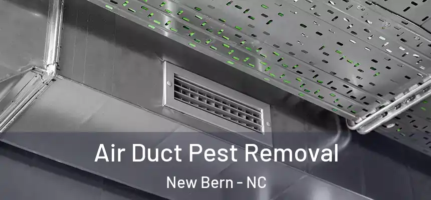 Air Duct Pest Removal New Bern - NC