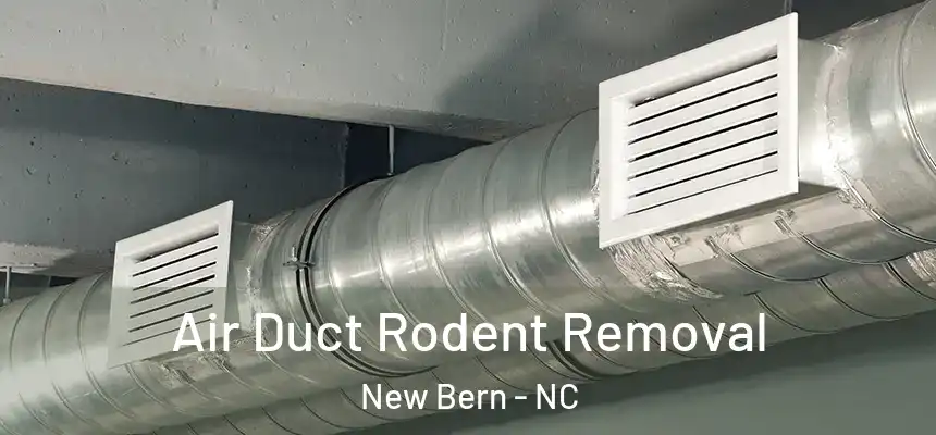 Air Duct Rodent Removal New Bern - NC