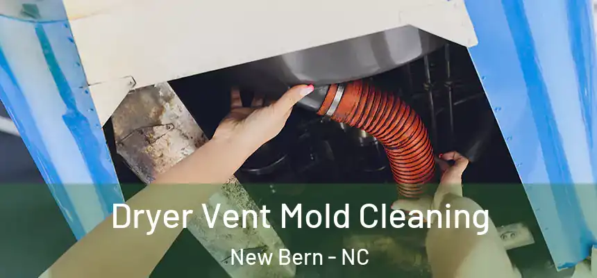  Dryer Vent Mold Cleaning New Bern - NC