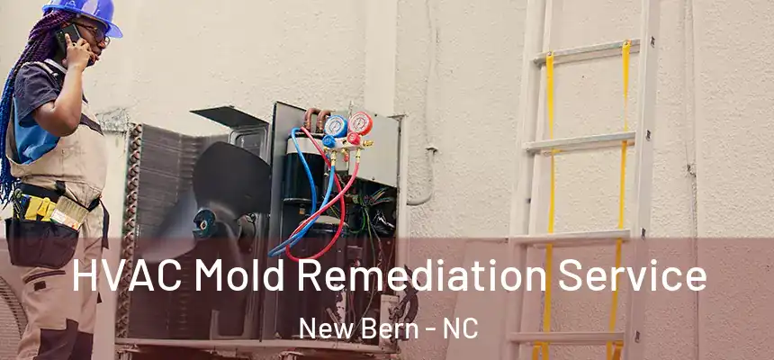  HVAC Mold Remediation Service New Bern - NC