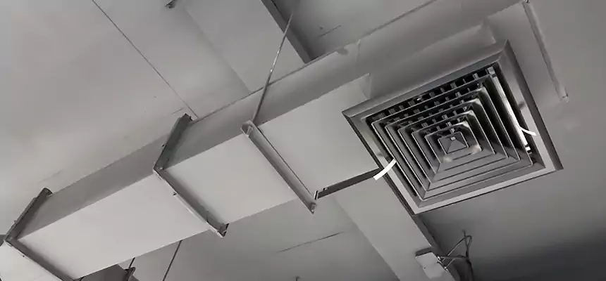 Our Rodent Droppings In Vents Services in New Bern, NC