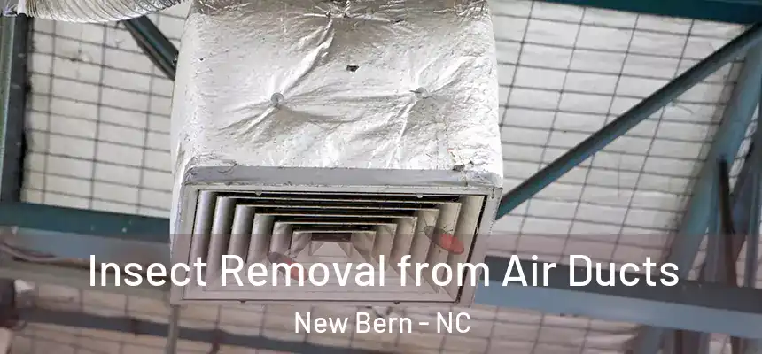 Insect Removal from Air Ducts New Bern - NC