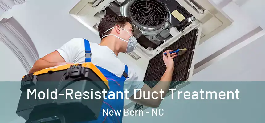 Mold-Resistant Duct Treatment New Bern - NC