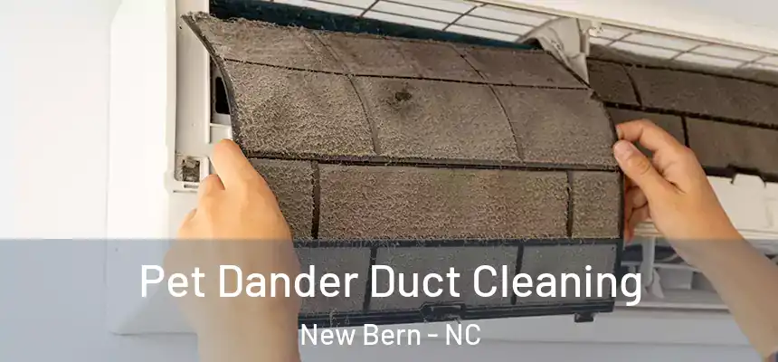Pet Dander Duct Cleaning New Bern - NC