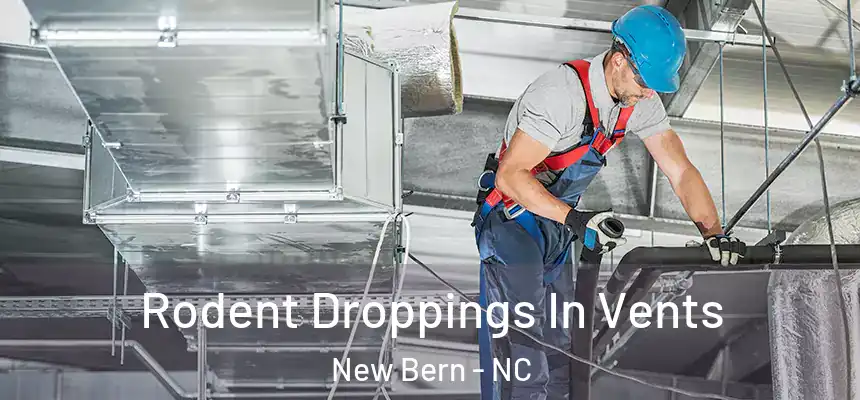  Rodent Droppings In Vents New Bern - NC