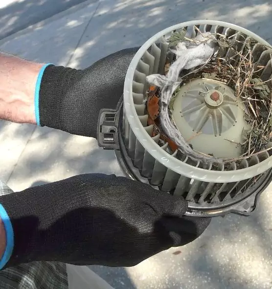 About Air Duct Mice Removal in New Bern, NC