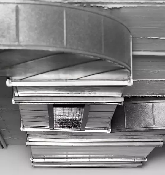 Professional Air Duct Pest Removal in New Bern, NC