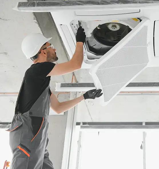 About Air Duct Rodent Removal in New Bern, NC