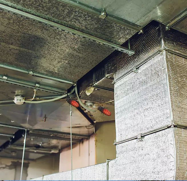 Why Homeowners & Businesses Trust Us New Bern, NC?