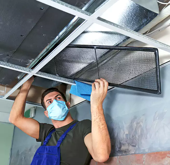 Why Homeowners Businesses Trust Us in New Bern, NC